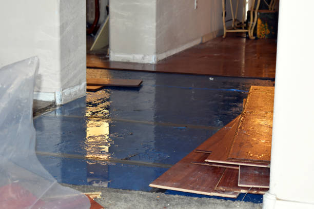 Professional Burst Pipe Cleanup technician working in Trezevant, TN