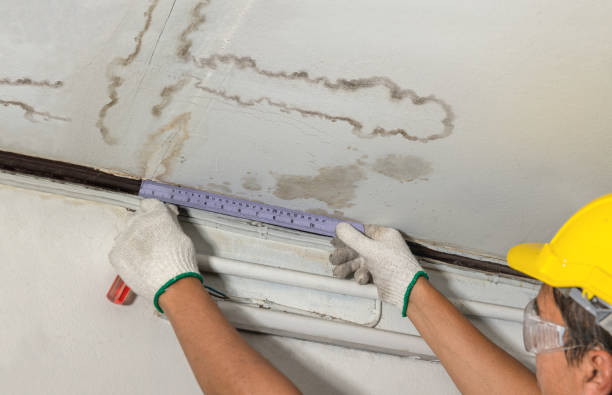 Reliable Burst Pipe Cleanup contractor in Trezevant, TN by Water Damage Irwin